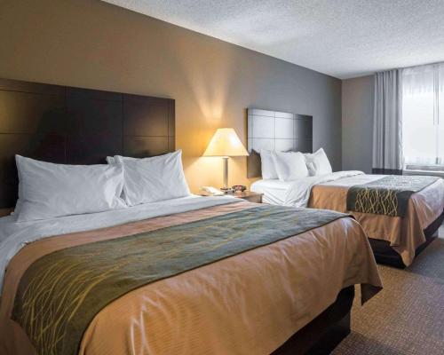 Habitación con 2 camas grandes - No fumadores del hotel Comfort Inn Saugerties