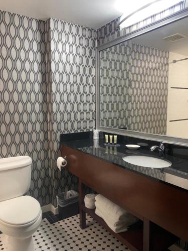 Habitación Deluxe con 1 cama extragrande del hotel Park Manor, An Ascend Collection Membe. Foto 4