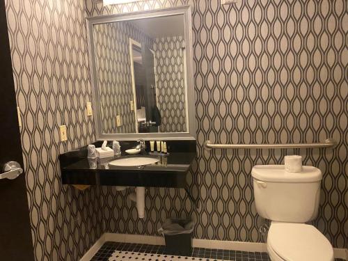 Deluxe ADA with One Queen Bed del hotel Park Manor, An Ascend Collection Membe. Foto 2