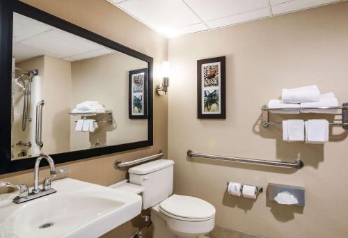 Habitación Estándar con cama extragrande y bañera - Adaptada para personas con discapacidad - No fumadores del hotel Clarion Pointe Jamestown - Falconer. Foto 3