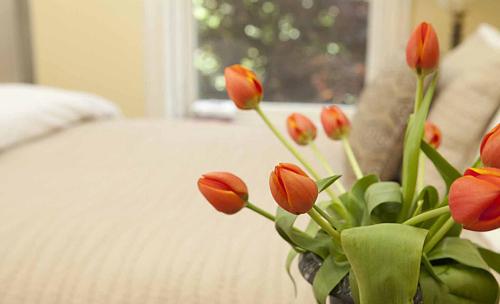 Habitación Deluxe con vistas al parque - 1 cama grande del hotel The Morgan State House. Foto 2