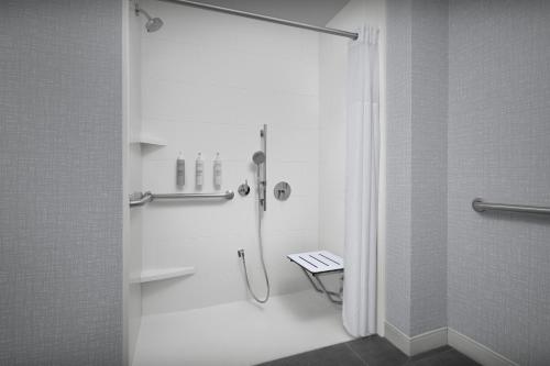 Habitación Estudio con cama extragrande - No fumadores del hotel Hampton Inn Ithaca. Foto 1