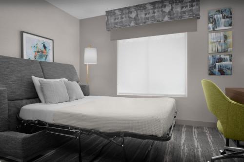 Habitación Estudio con cama extragrande - No fumadores del hotel Hampton Inn Ithaca. Foto 7