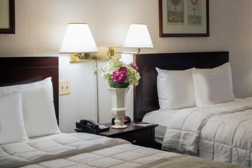 Habitación con 2 camas grandes - No fumadores del hotel Meadowlands Plaza