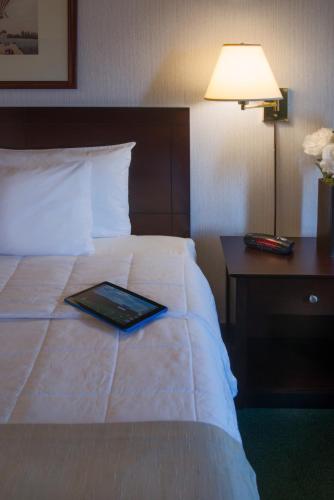 Habitación - 1 cama extragrande - No fumadores del hotel Meadowlands Plaza. Foto 1