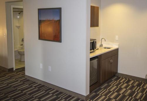 Suite Estudio con cama grande - No fumadores del hotel Microtel Inn & Suites by Wyndham Victor/Rochester