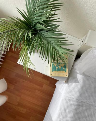 Habitación Triple Clásica del hotel La Mota by Punta25