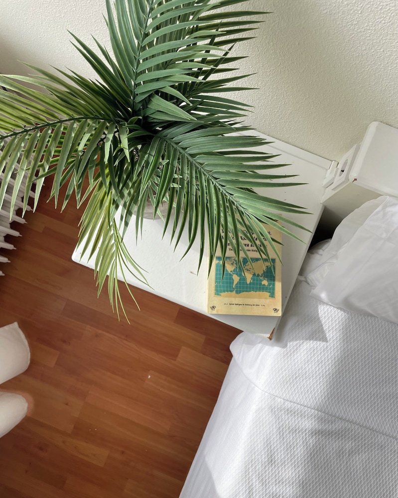 Triple room With Three Single Beds del hotel La Mota by Punta25. Foto 2