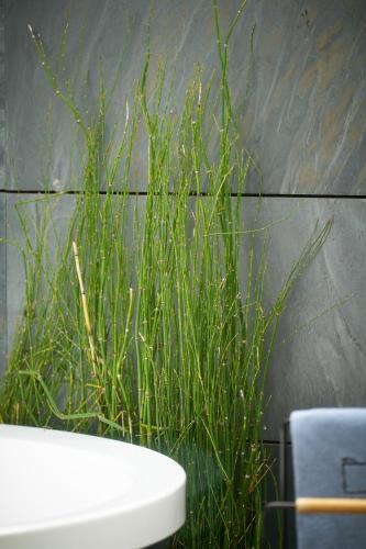 Habitación del ático con terraza y jacuzzi del hotel Regina. Foto 9