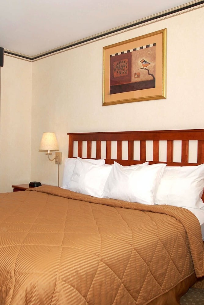 Habitación City del hotel Red Lion Inn And Suites Long Island City