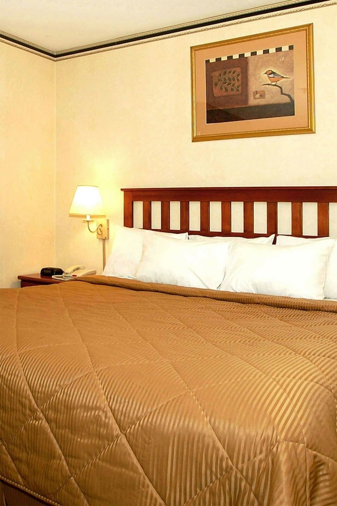 Habitación City del hotel Red Lion Inn And Suites Long Island City. Foto 1