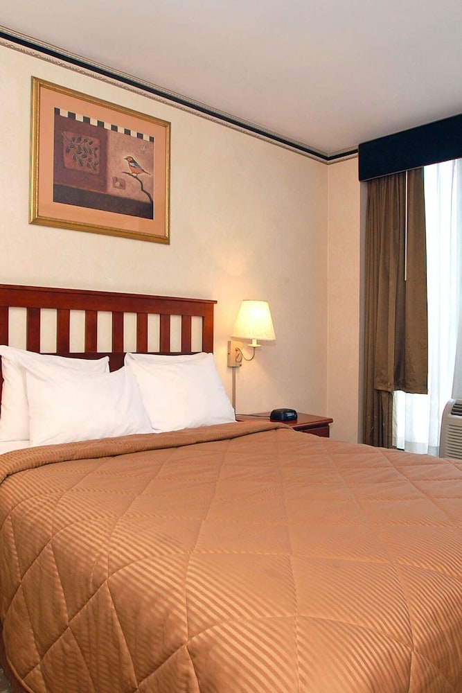 Habitación City del hotel Red Lion Inn And Suites Long Island City. Foto 2