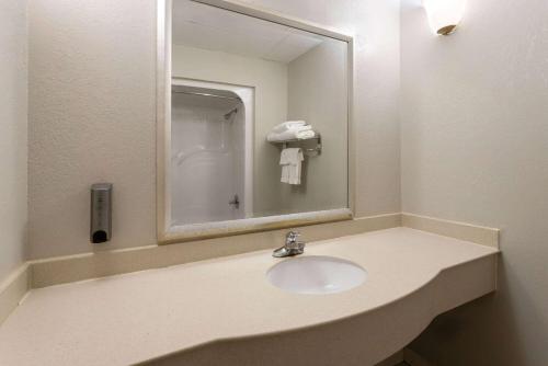 Suite Superior con cama extragrande - No fumadores del hotel DAYS INN & SUITES ALBANY