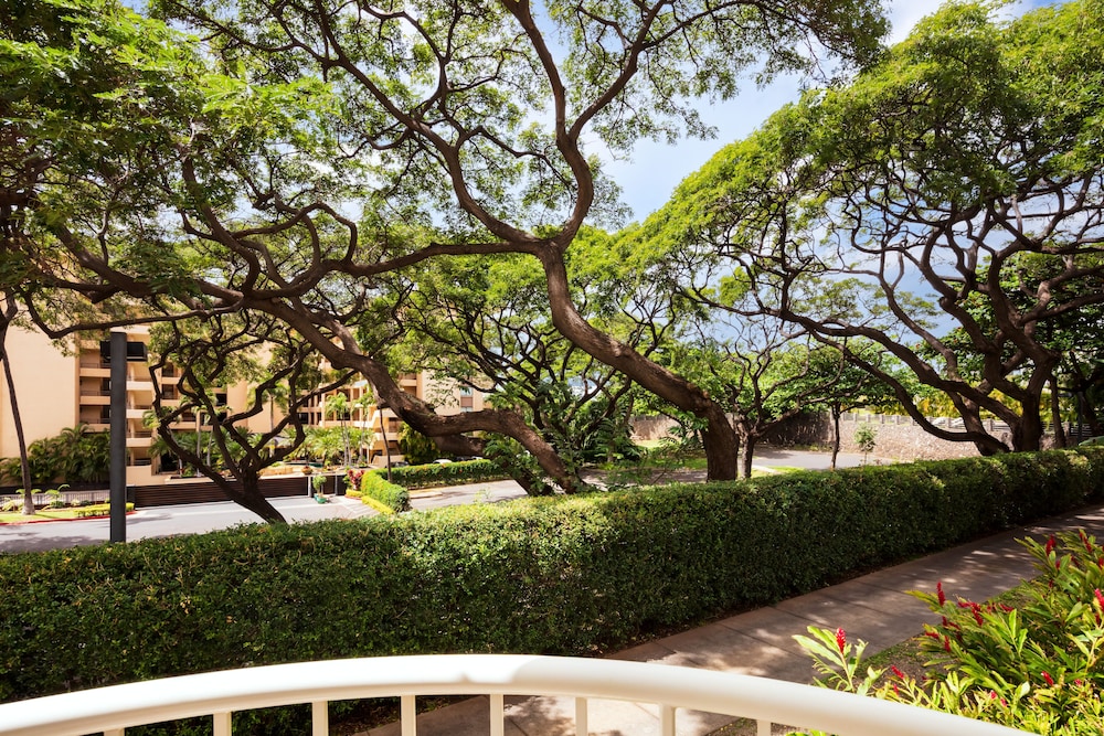 Suite, 1 habitación, vistas al jardín, esquina (2 camas dobles) del hotel The Fairmont Kea Lani. Foto 2