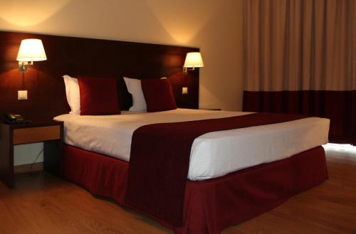 Habitación Doble - 1 o 2 camas del hotel Bejaparque