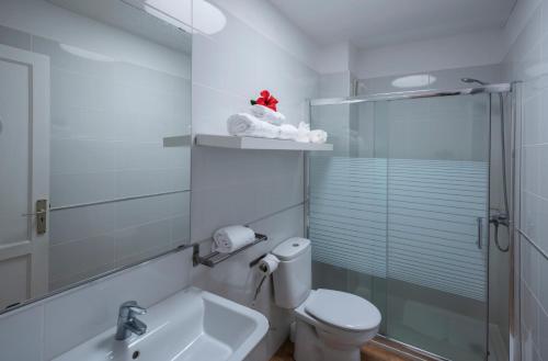 Apartamento Superior de 1 dormitorio, con terraza del hotel Los Rosales. Foto 12
