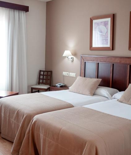Habitación Doble adaptada para personas con discapacidad - 2 camas del hotel Santiago De León