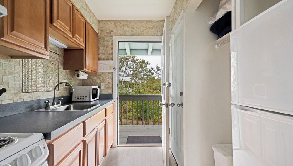 Estudio Balcón o Terraza 1 Cama queen Sofá Cama incluido del hotel Beach Plum Resort. Foto 1