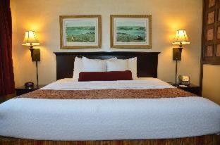 Habitación - 1 cama extragrande - No fumadores del hotel Best Western Plus Vineyard Inn and Suites. Foto 10
