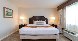 Habitación con cama extragrande, sofá cama y bañera de hidromasaje - No fumadores del hotel Best Western Plus Vineyard Inn and Suites. Foto 7