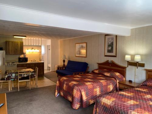 Suite con cocina del hotel Lincoln Log Colony. Foto 1