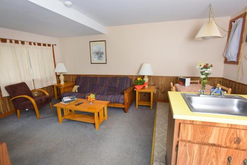 Apartamento de 1 dormitorio del hotel Lincoln Log Colony. Foto 5