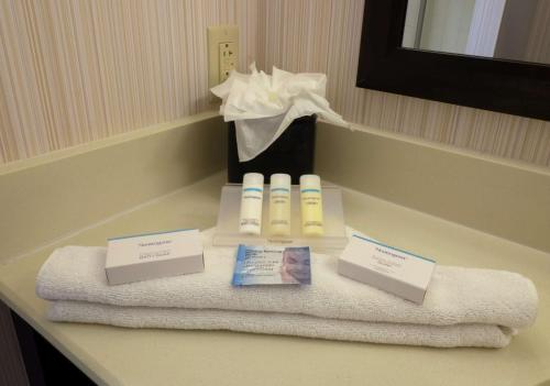 Suite Junior con 2 camas grandes del hotel The Hilton Garden Inn Buffalo-downtown. Foto 1