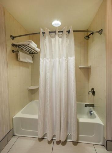 Suite con 2 camas grandes y vistas a la ciudad del hotel The Hilton Garden Inn Buffalo-downtown