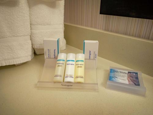 Suite con 2 camas grandes y vistas a la ciudad del hotel The Hilton Garden Inn Buffalo-downtown. Foto 4