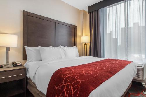Habitación - 1 cama extragrande - No fumadores del hotel Comfort Inn and Suites Near Stadium. Foto 4