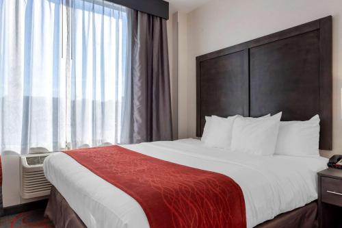 Suite con cama extragrande - No fumadores del hotel Comfort Inn and Suites Near Stadium
