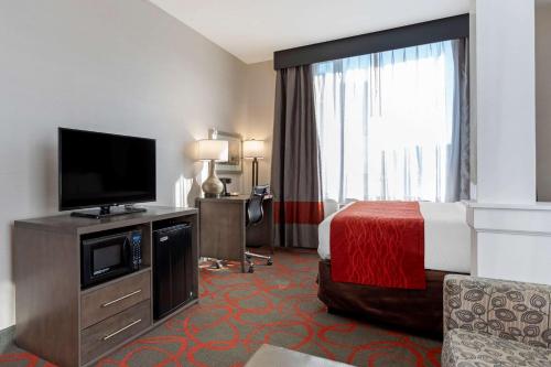 Suite con cama extragrande - No fumadores del hotel Comfort Inn and Suites Near Stadium. Foto 3