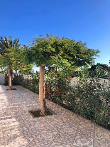 Bungalow de un dormitorio del hotel Bungalows las Almenas. Foto 8