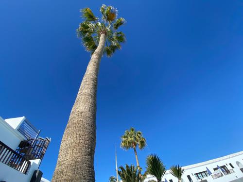 Apartamento 1 habitación Sofá Cama incluido 2 Camas individuales del hotel Plaza Azul