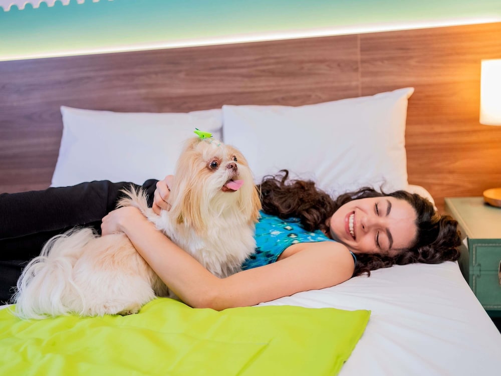 Habitacion Standard con 1 cama doble del hotel Ibis Styles Sorocaba Santa Rosalia. Foto 5