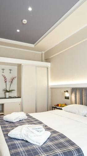 Habitación Doble Executive - 1 o 2 camas del hotel Athens Cypria. Foto 8