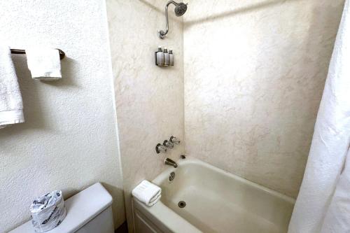Habitación Premium con cama extragrande y vistas a la piscina + 5 $ en tragaperras y 10 $ en mesas de juego GRATIS del hotel Oyo and Casino Las Vegas. Foto 3