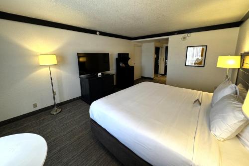 Habitación Premium con cama extragrande y vistas a la piscina + 5 $ en tragaperras y 10 $ en mesas de juego GRATIS del hotel Oyo and Casino Las Vegas. Foto 5