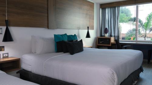 Habitación Doble - 2 camas del hotel The Blue Hotel. Foto 3