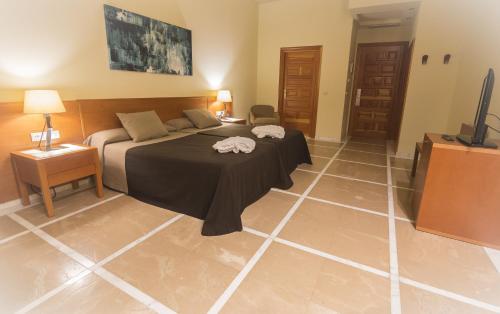 Habitación Superior con acceso al spa del hotel Balneario De Archena - Termas
