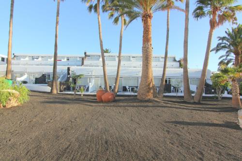 Apartamento Vista Piscina Vista Jardin 1 habitación 2 Camas individuales del hotel Arena Dorada - Apartments