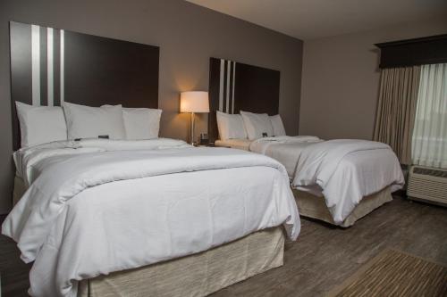 Habitación con 2 camas grandes del hotel At Batavia Downs. Foto 1