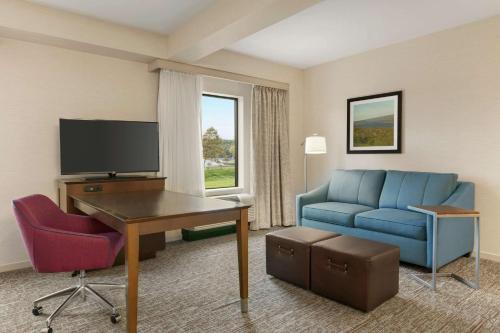 Suite Estudio con cama extragrande y vistas al agua - No fumadores del hotel Hampton Inn Penn Yan. Foto 1