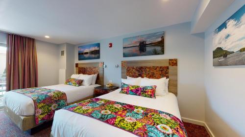 Habitación adaptada para personas con movilidad reducida - Cama grande del hotel Surfside On The Lake. Foto 1