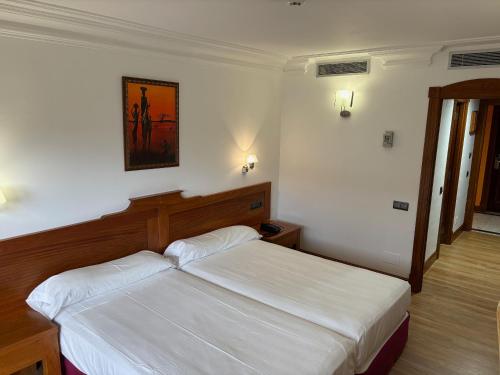 Habitación con 2 camas individuales - Planta baja del hotel Gran Liber & Spa. Foto 7
