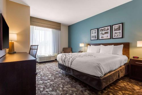 Habitación con 1 cama extragrande y para personas con movilidad reducida - No fumadores del hotel Sleep Inn & Suites Middletown - Goshen. Foto 1