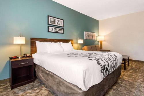 Suite con cama extragrande - No fumadores del hotel Sleep Inn & Suites Middletown - Goshen. Foto 3