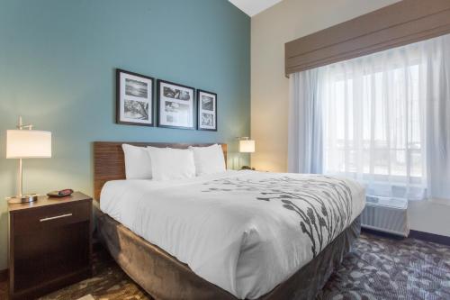 Suite con cama extragrande - No fumadores del hotel Sleep Inn & Suites Middletown - Goshen. Foto 14