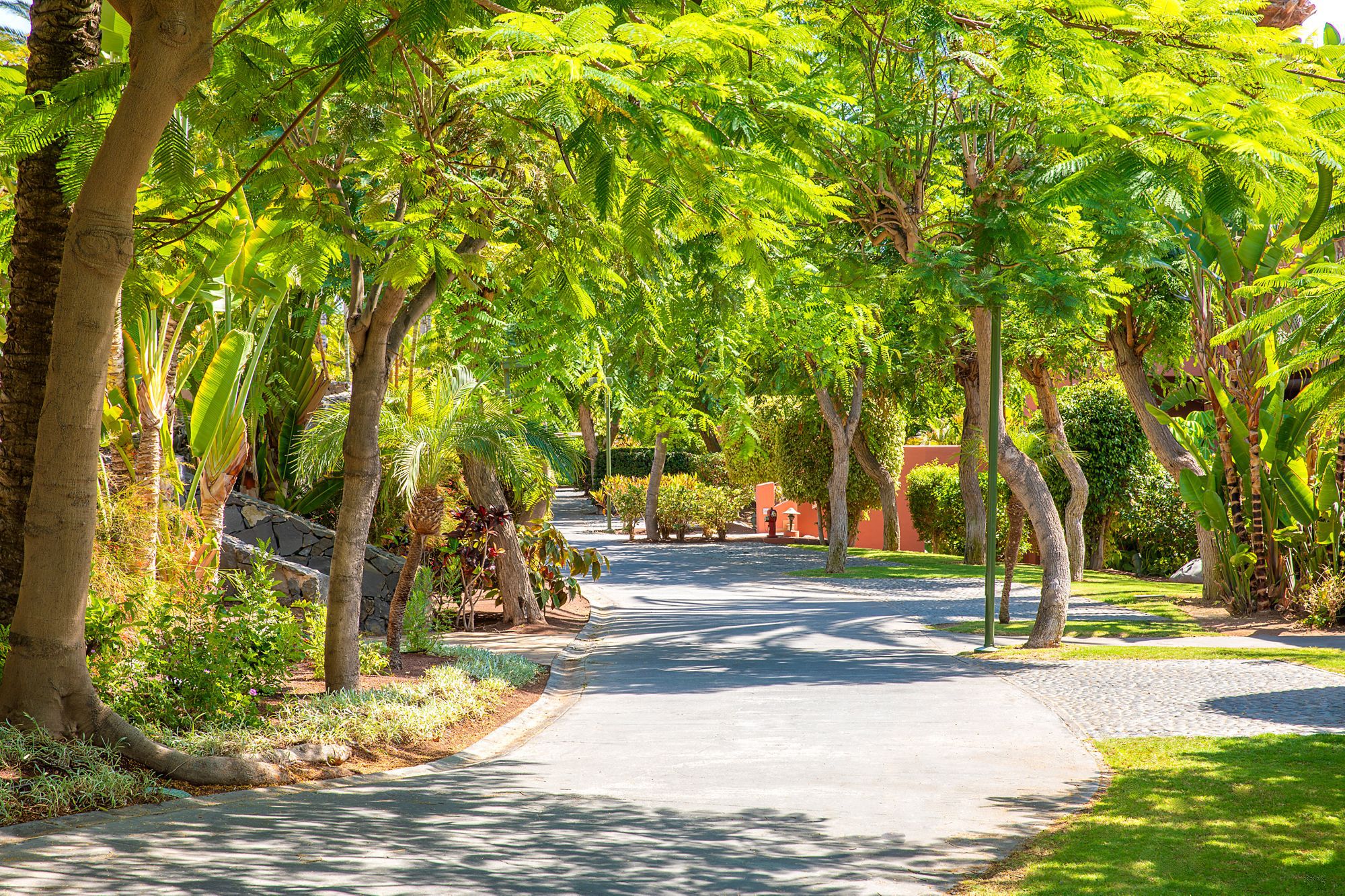 Habitación doble Vista Mar Lujo Solo Adultos del hotel The Ritz-carlton Tenerife, Abama. Foto 5