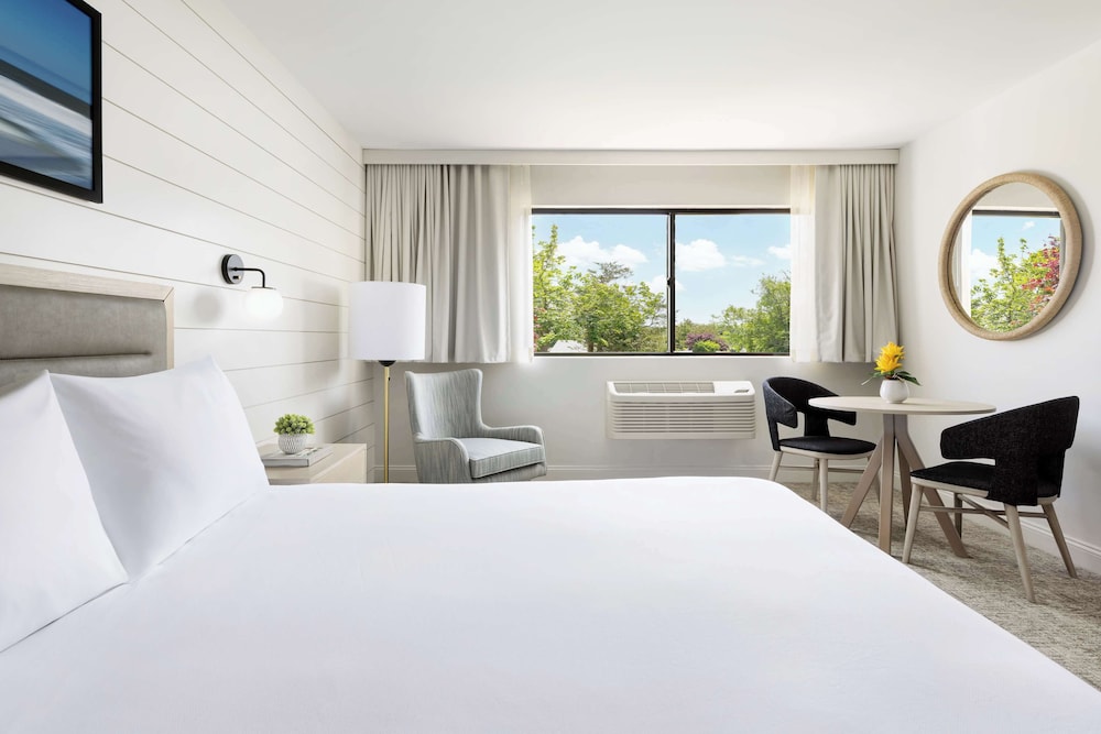 Accesible | 1 cama King con bañera del hotel The Pell - Part Of Jdv By Hyatt. Foto 4